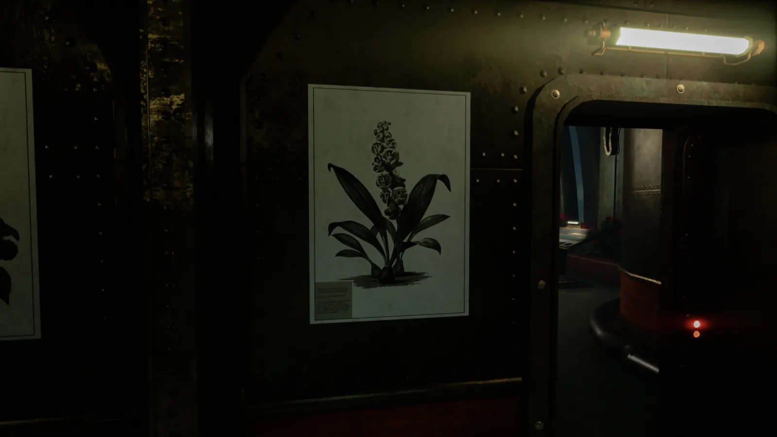 Close to the Sun Peristeria elata