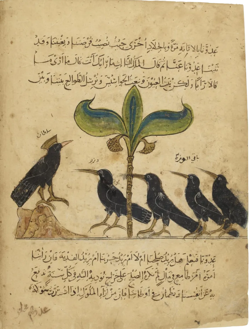 Le roi corbeau et ses conseillers