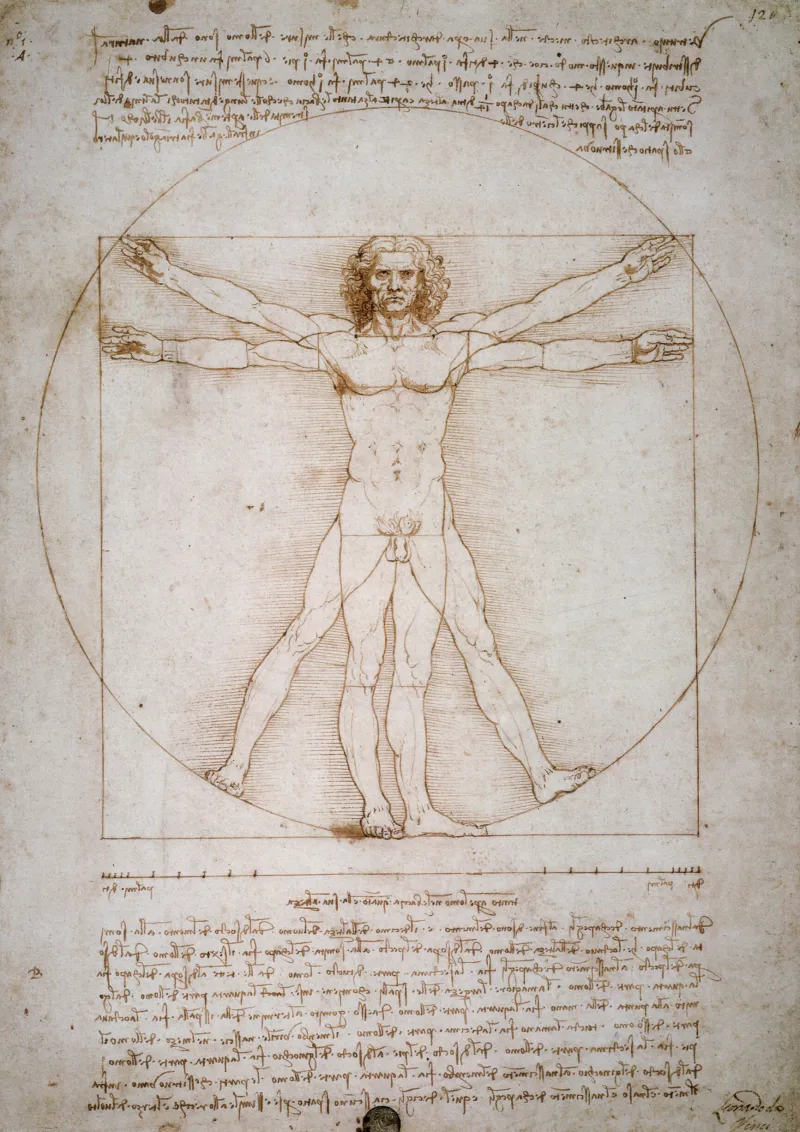 Léonard de Vinci Homme de Vitruve