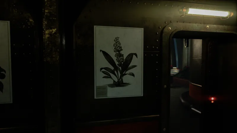 Close to the Sun Peristeria elata