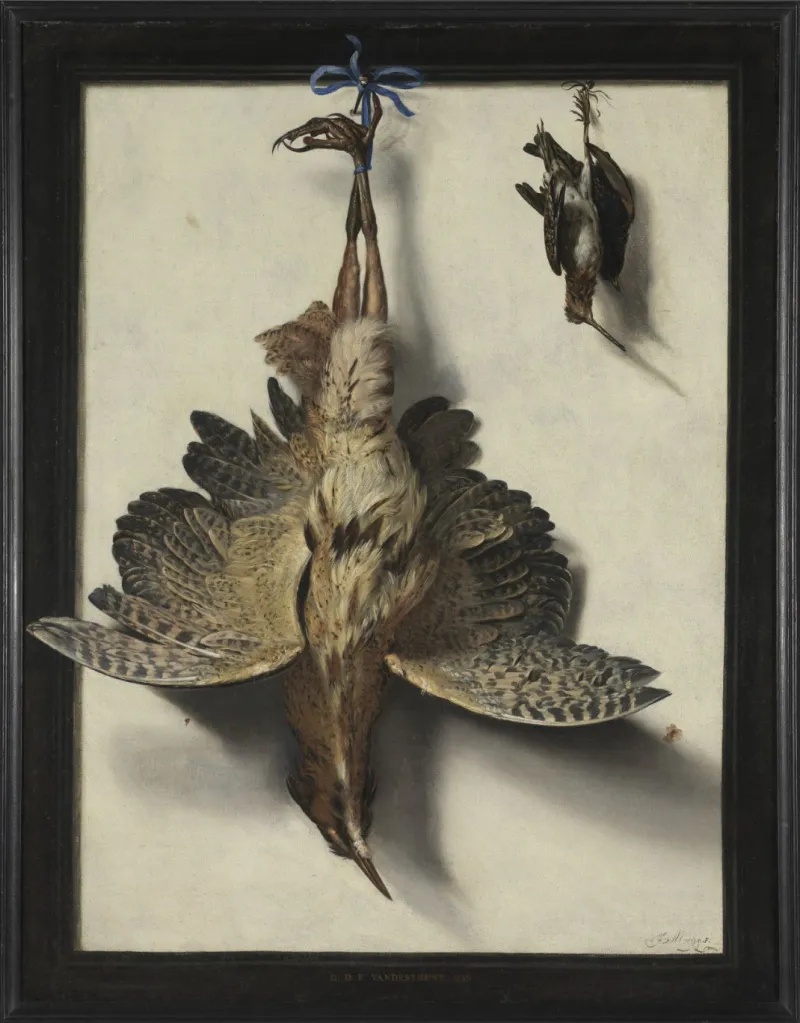 Frans Cuyck Van Myero, Nature morte aux oiseaux