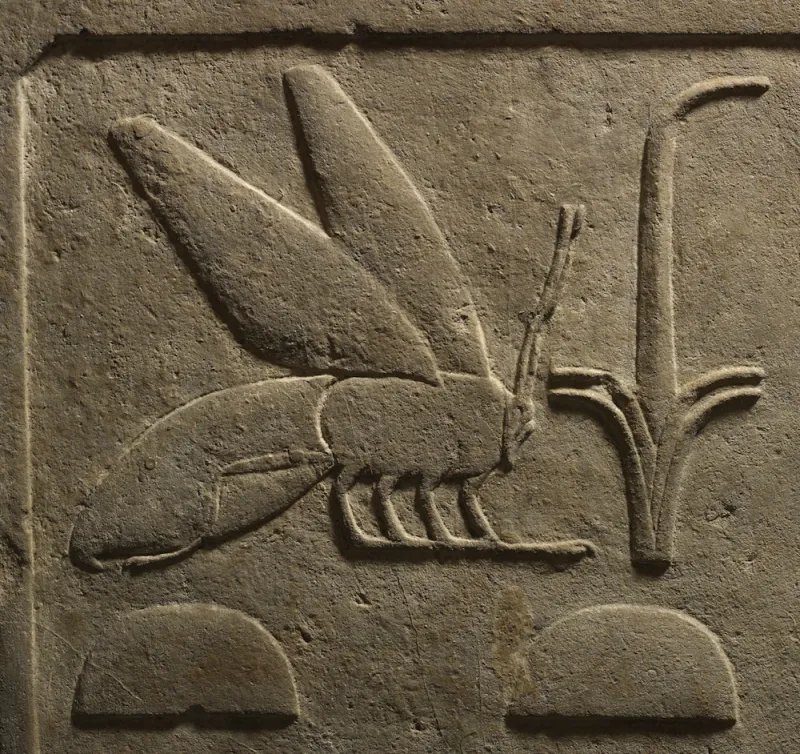Linteau égyptien au nom d'Amenemhat III (détail)