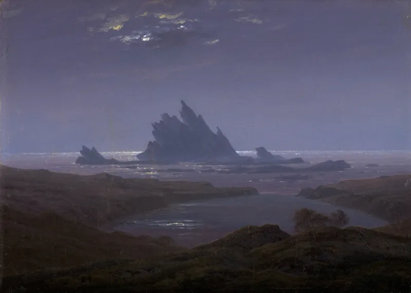 L'image est une peinture de Caspar David Friedrich. Elle représente une vue de littoral par une nuit claire, la lumière de la lune perce à tavers quelques nuages épars en partie haute de l'image. La côte forme un petit lagon au centre du tableau. Face à lui se dresse un imposant récif rocheux aux arêtes acérées.