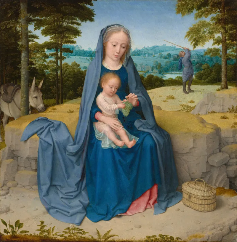 L'image est une peinture de Gérard David, qui représente au premier plan un jeune femme (la Vierge) assise sur un rocher dans un paysage rural. Elle est vêtue d'une robe et d'un manteau bleus, et elle tient sur ses genoux un nourrisson (Jésus), auquel elle tend une grappe de raison. Au second plan, on peut apercevoir à gauche un âne, et à droite un homme (Joseph) qui cherche à faire tomber les fruits d'un arbre à l'aide d'un bâton.