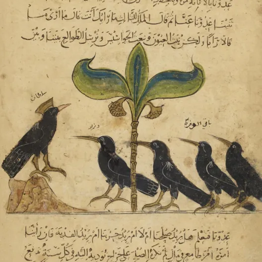 Le roi corbeau et ses conseillers