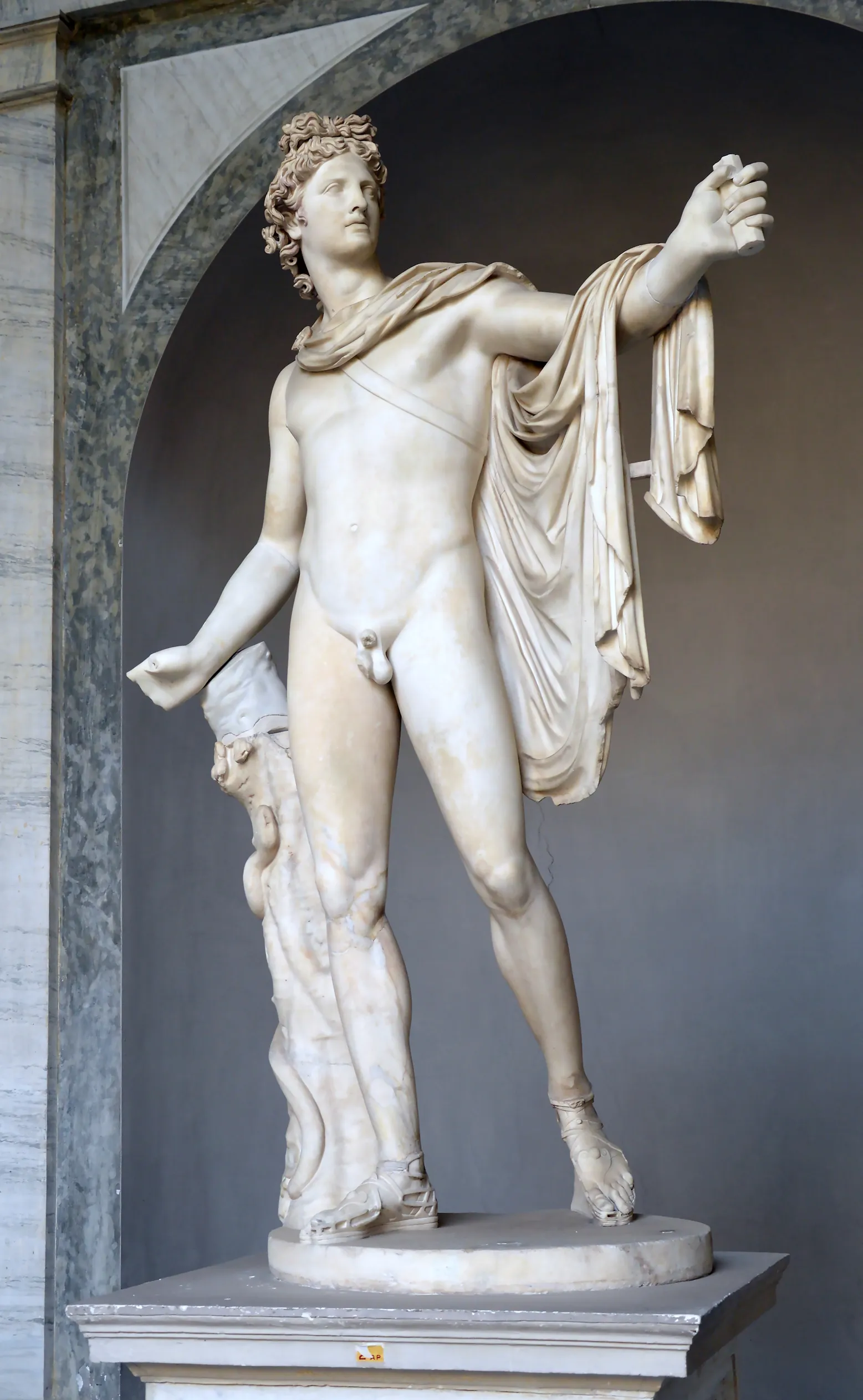 Apollon du Belvédère