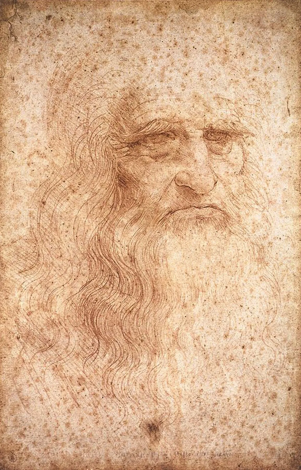 Autoportrait présumé de Léonard de Vinci