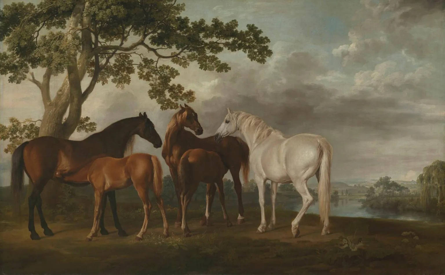 Peinture de George Stubbs représentant des juments et des poulains près d'une rivière