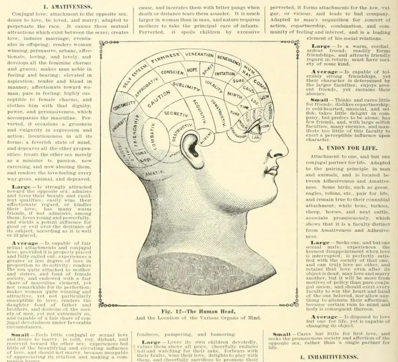 La Tête Humaine