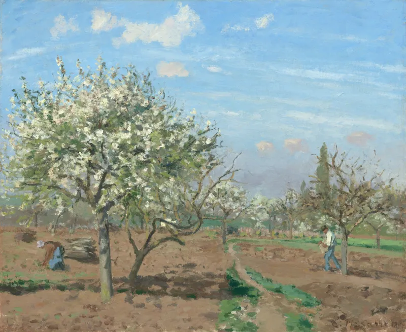 Camille Pissarro Verger en fleurs