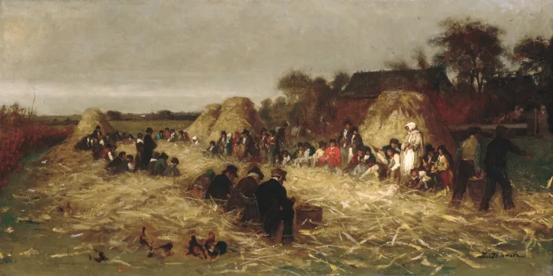 Johnson Égrenage du maïs à Nantucket